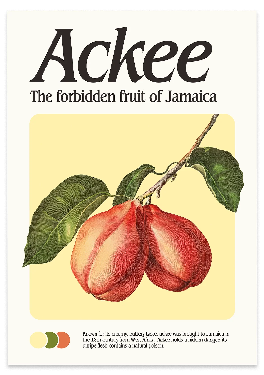 Ackee Print - Image 3