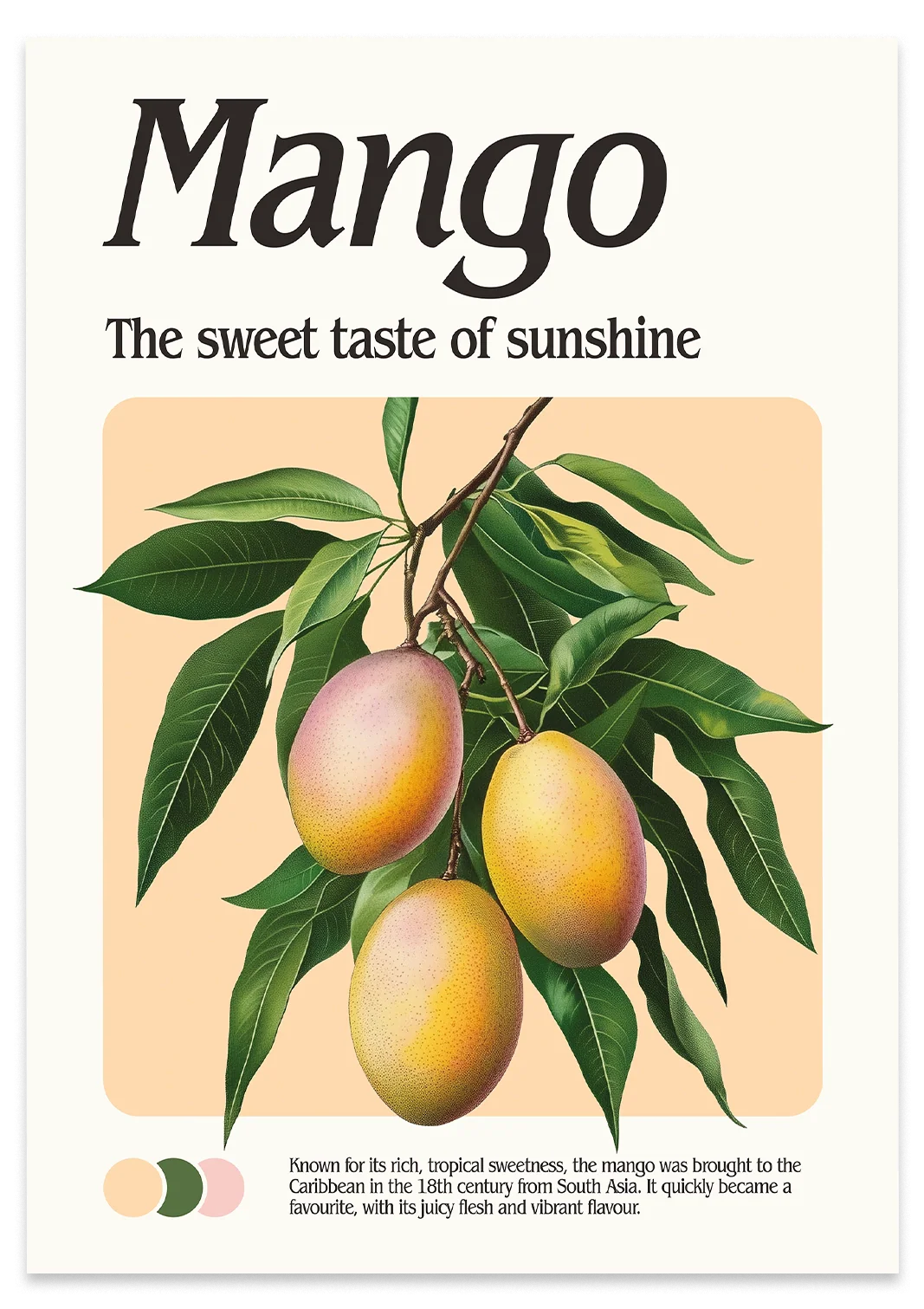 Mango Print - Image 3