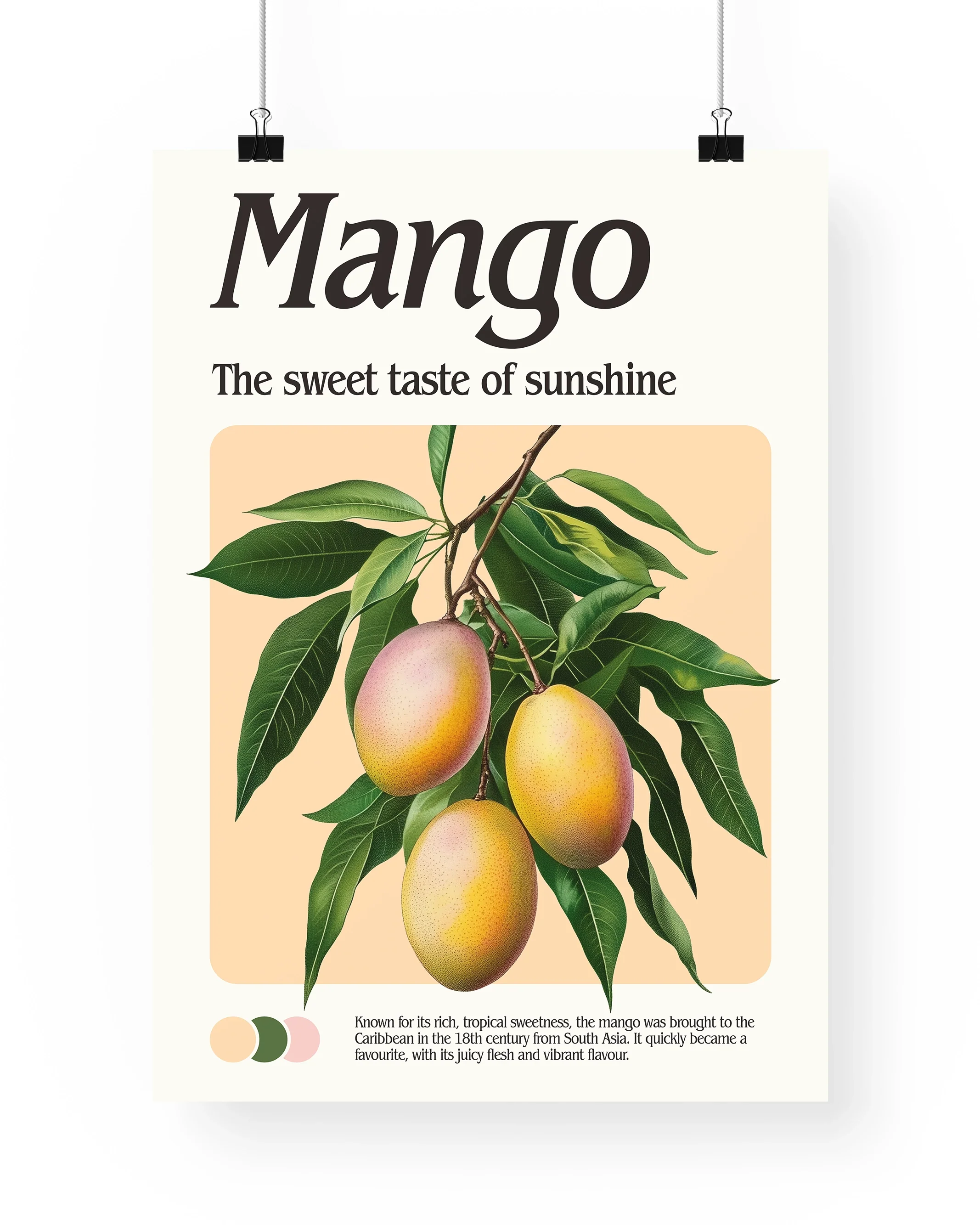 Mango Print - Image 4