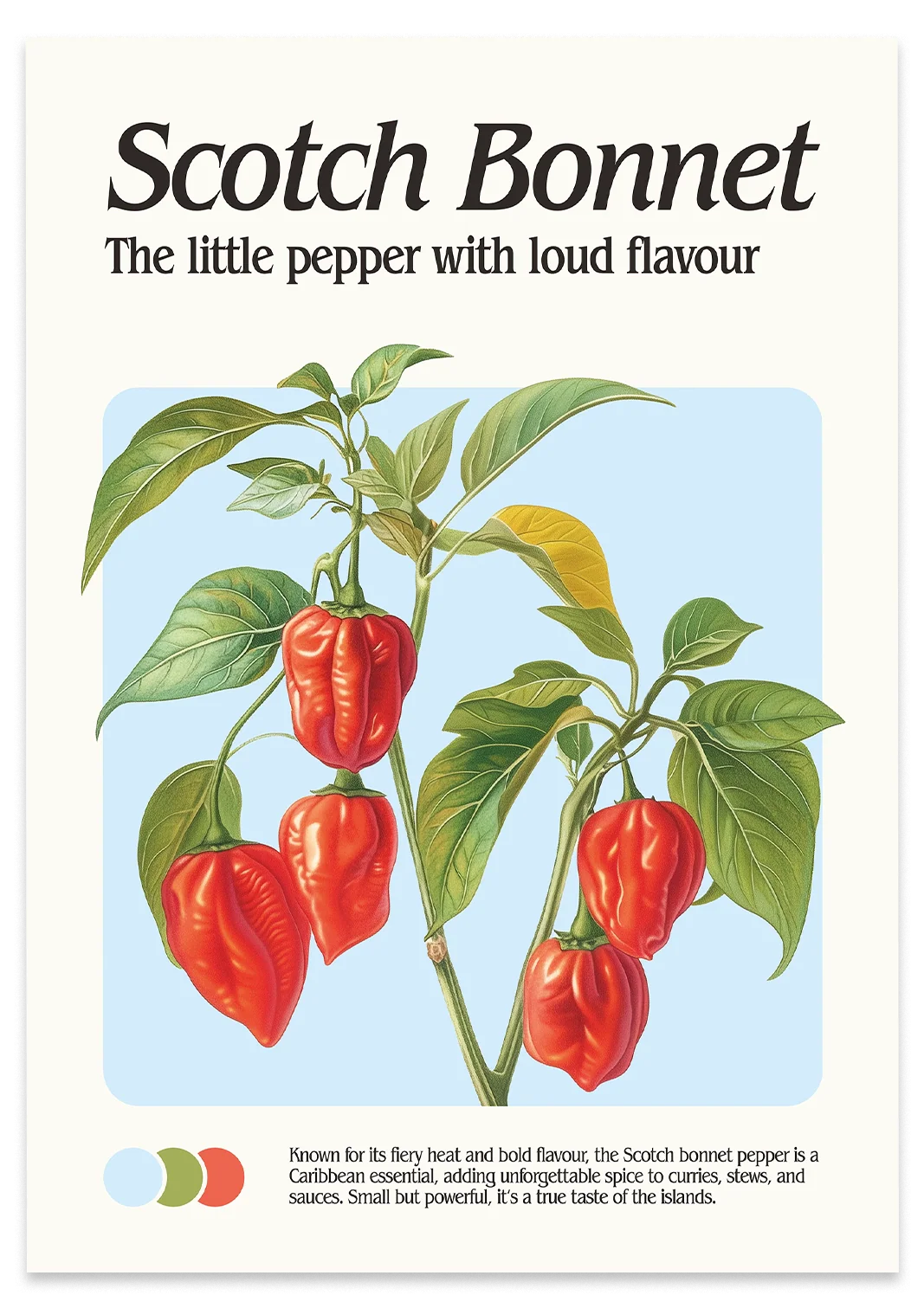 Scotch Bonnet Print - Image 3