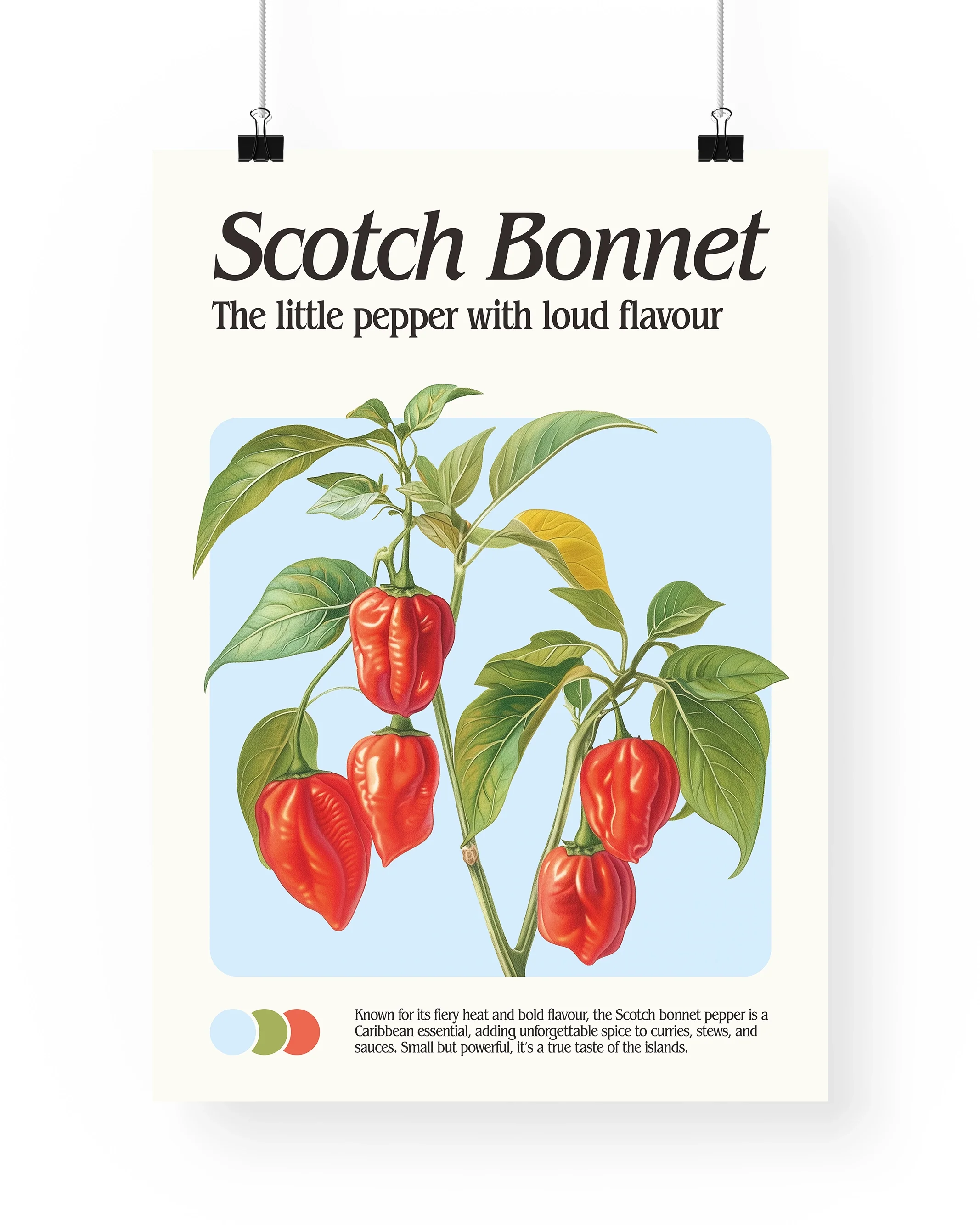 Scotch Bonnet Print - Image 4